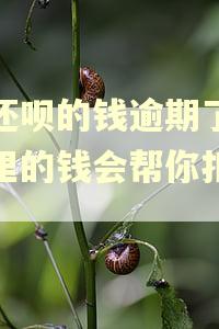 差还呗的钱逾期了微信里的钱会帮你扣掉吗