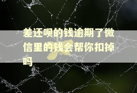 差还呗的钱逾期了微信里的钱会帮你扣掉吗 差还呗的钱逾期了微信里的钱会帮你扣掉吗