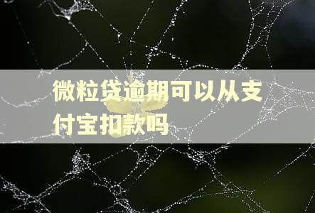 微粒贷逾期可以从支付宝扣款吗