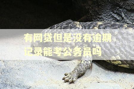 有网贷但是没有逾期记录能考公务员吗
