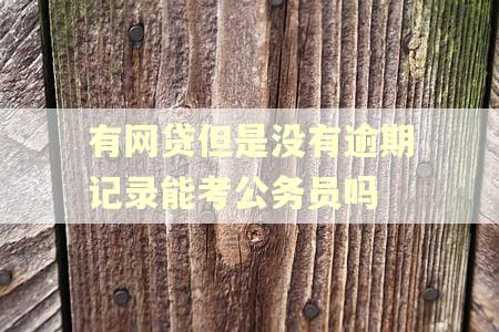 有网贷但是没有逾期记录能考公务员吗