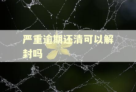 严重逾期还清可以解封吗
