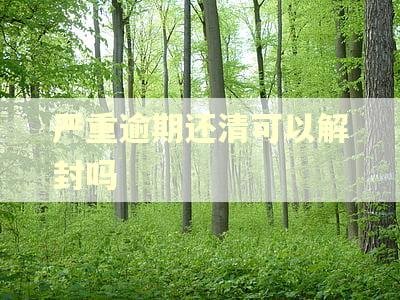 严重逾期还清可以解封吗