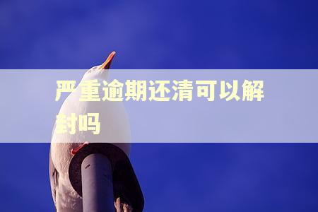 严重逾期还清可以解封吗
