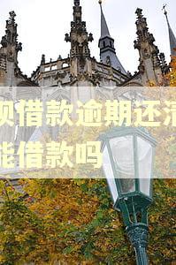 还呗借款逾期还清后还能借款吗