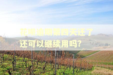 花呗逾期第四天还了还可以继续用吗?