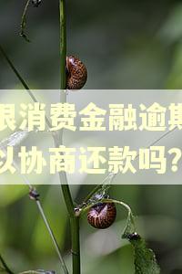 北银消费金融逾期了可以协商还款吗？