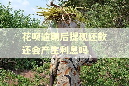 花呗逾期后提现还款还会产生利息吗 花呗逾期后提现还款还会产生利息吗