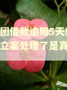 美团借款逾期5天就要立案处理了是真的吗