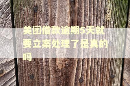 美团借款逾期5天就要立案处理了是真的吗