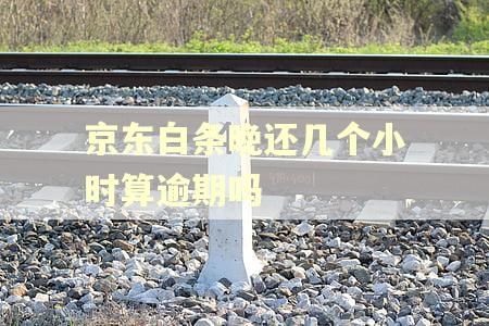 京东白条晚还几个小时算逾期吗