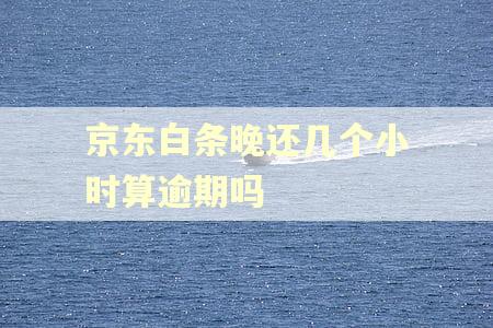 京东白条晚还几个小时算逾期吗