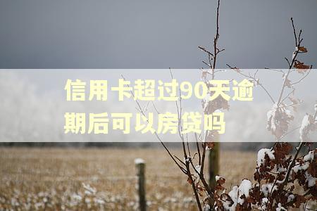 信用卡超过90天逾期后可以房贷吗
