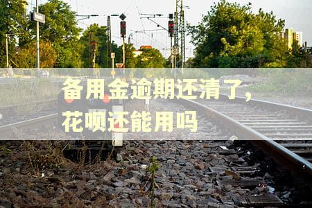 备用金逾期还清了,花呗还能用吗