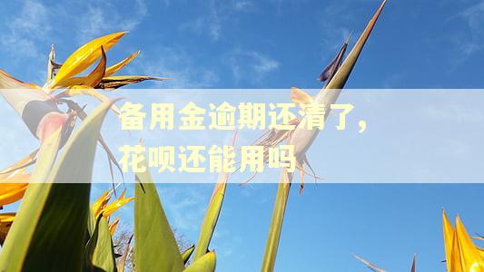 备用金逾期还清了,花呗还能用吗