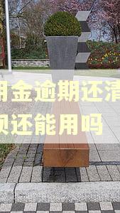 备用金逾期还清了,花呗还能用吗
