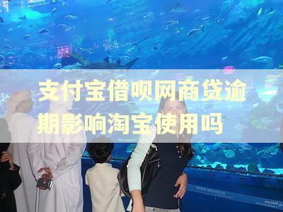 支付宝借呗网商贷逾期影响淘宝使用吗