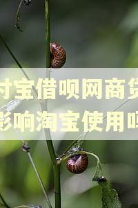 支付宝借呗网商贷逾期影响淘宝使用吗 支付宝借呗网商贷逾期影响淘宝使用吗
