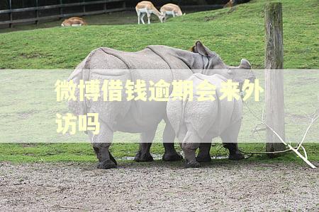 微博借钱逾期会来外访吗