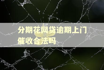 分期花网贷逾期上门催收合法吗
