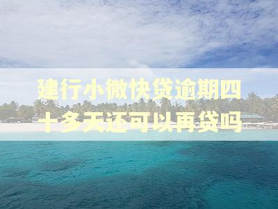 建行小微快贷逾期四十多天还可以再贷吗