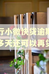 建行小微快贷逾期四十多天还可以再贷吗