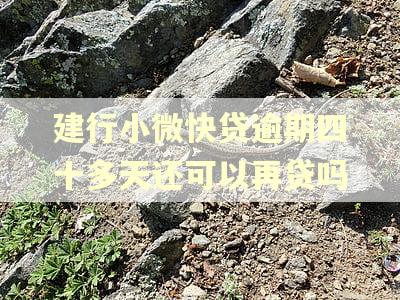 建行小微快贷逾期四十多天还可以再贷吗