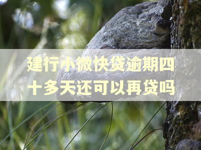 建行小微快贷逾期四十多天还可以再贷吗