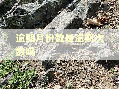逾期月份数是逾期次数吗