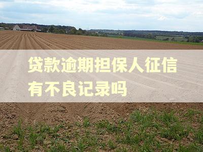 贷款逾期担保人征信有不良记录吗