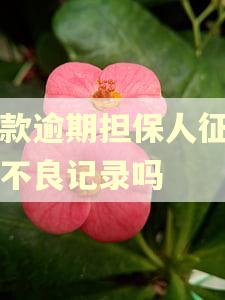 贷款逾期担保人征信有不良记录吗