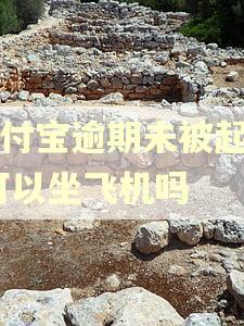 支付宝逾期未被起诉,可以坐飞机吗