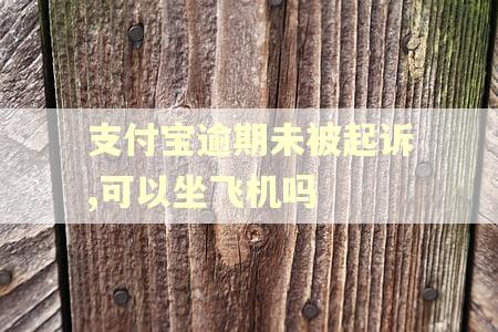 支付宝逾期未被起诉,可以坐飞机吗