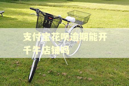 支付宝花呗逾期能开千牛店铺吗