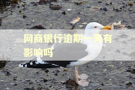 网商银行逾期一天有影响吗