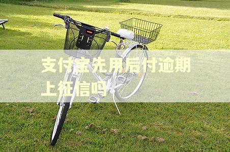 支付宝先用后付逾期上征信吗 支付宝先用后付逾期上征信吗