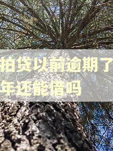 拍拍贷以前逾期了隔几年还能借吗