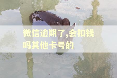 微信逾期了,会扣钱吗其他卡号的