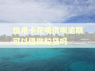 信用卡花呗借呗逾期可以借微粒贷吗