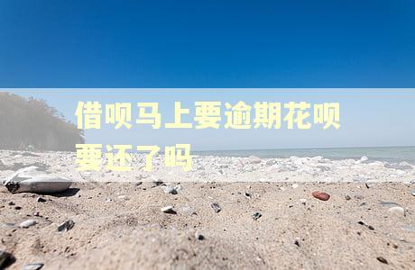 借呗马上要逾期花呗要还了吗