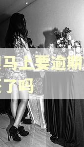 借呗马上要逾期花呗要还了吗