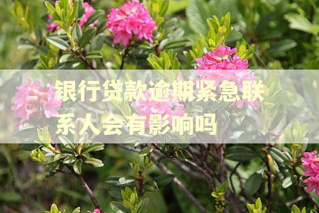 银行贷款逾期紧急联系人会有影响吗