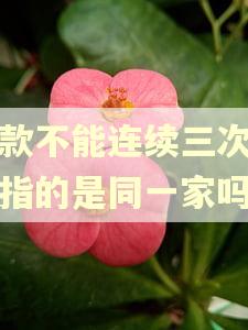 贷款不能连续三次逾期指的是同一家吗