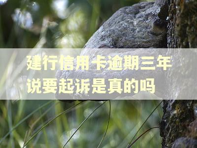 建行信用卡逾期三年说要起诉是真的吗 建行信用卡逾期三年说要起诉是真的吗