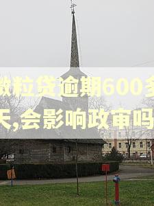 微粒贷逾期600多天,会影响政审吗