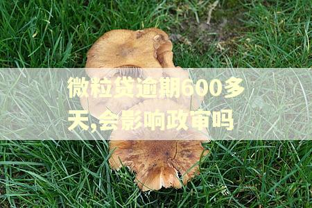 微粒贷逾期600多天,会影响政审吗