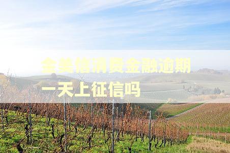 金美信消费金融逾期一天上征信吗
