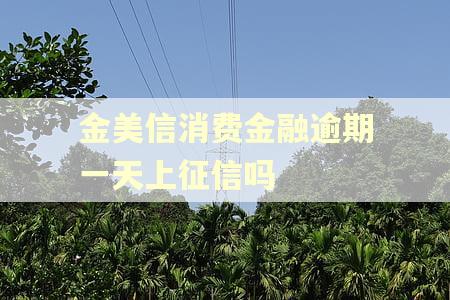 金美信消费金融逾期一天上征信吗