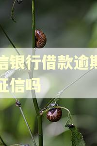 百信银行借款逾期会上征信吗 百信银行借款逾期会上征信吗