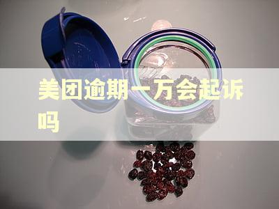 美团逾期一万会起诉吗